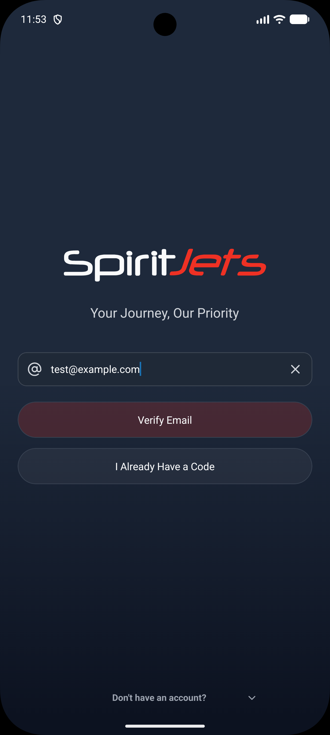 Login screen - portrait