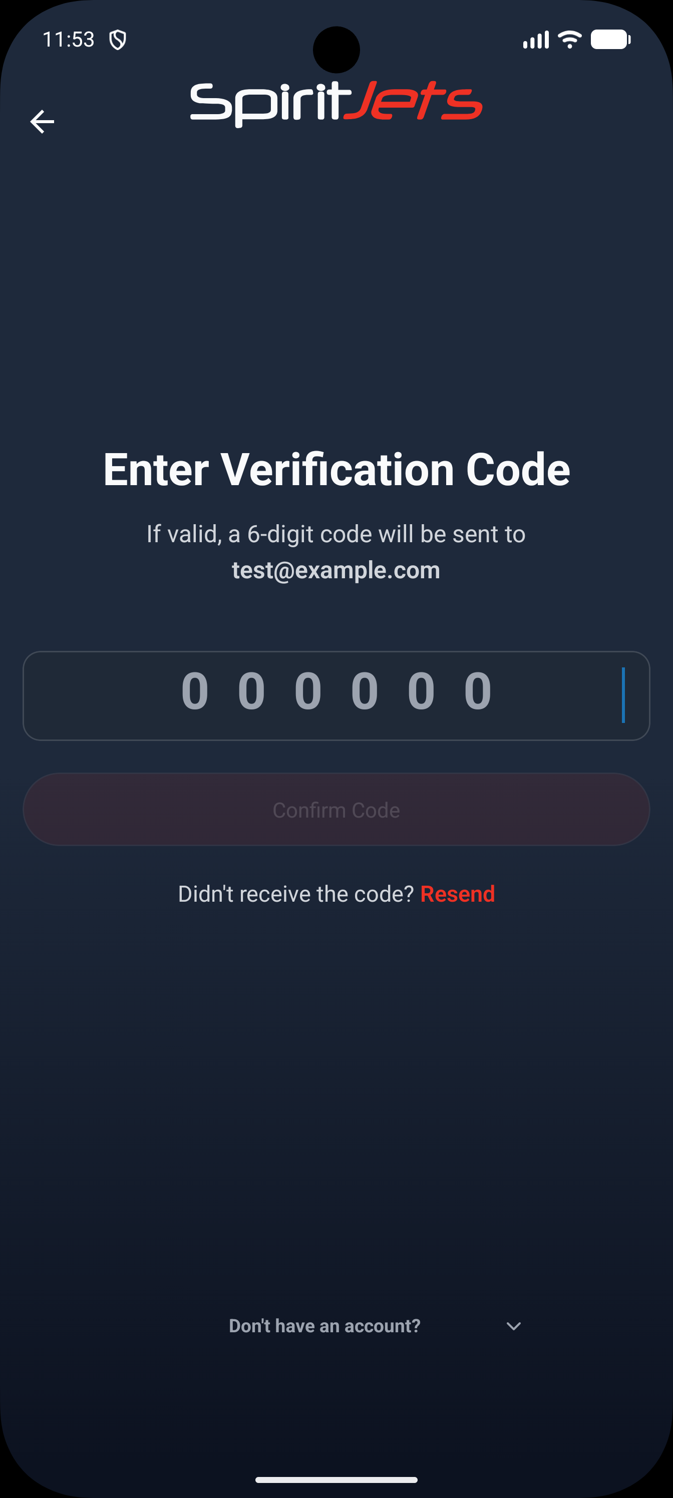 Verify screen - portrait