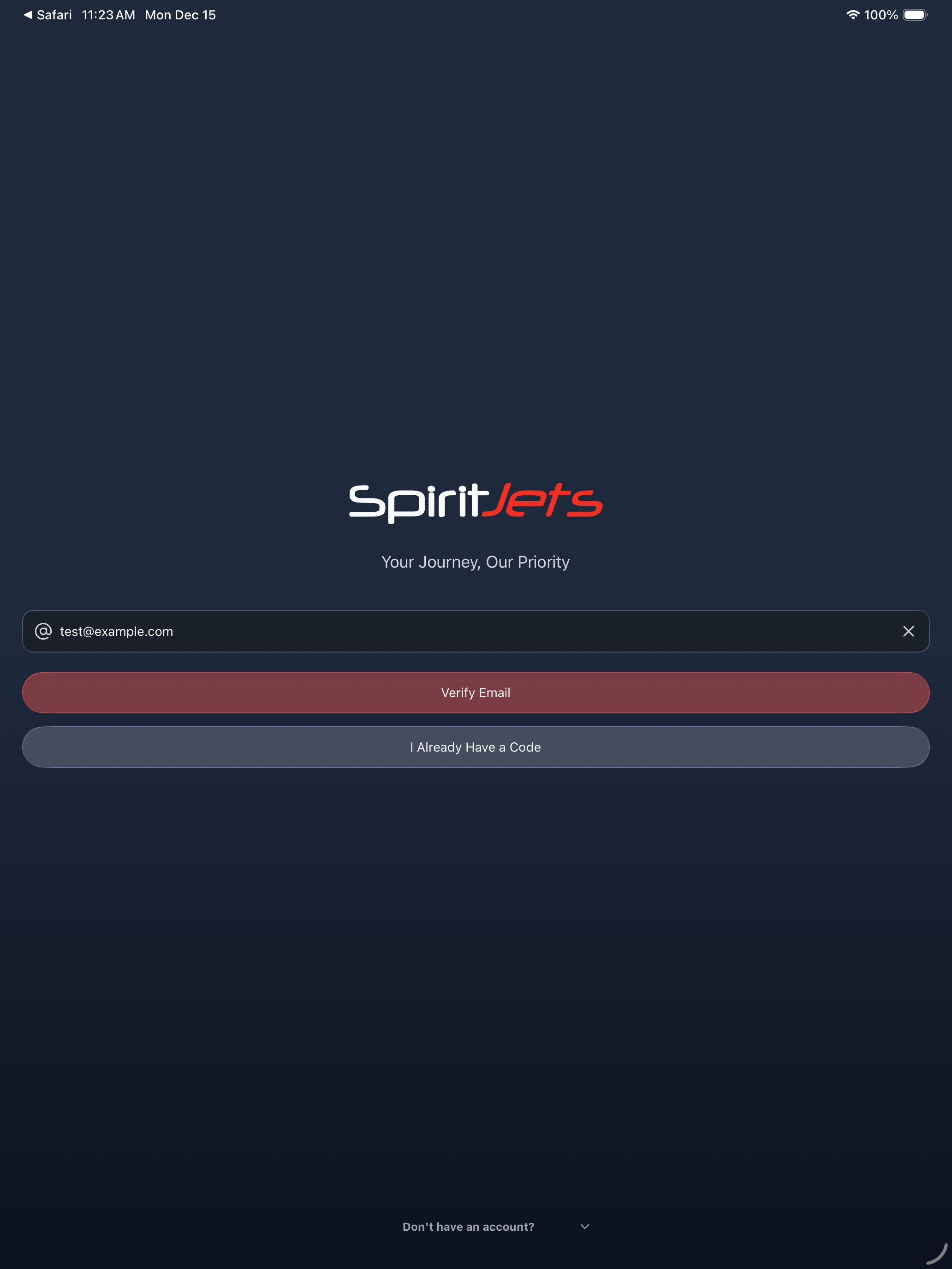 Login screen - portrait